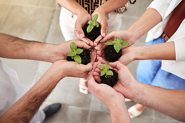 Image showing Hands, plant and sustainability in a group of people together in a circle or huddle. Community collaboration for growth, trust and eco friendly agriculture with soil, dirt and hope and green plants