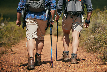 Image showing Nature hiking, fitness and exercise of friends walking on a mountain forest park ground trail. Walk adventure trekking workout with green grass and plants on a outside runner, hike or foot path track