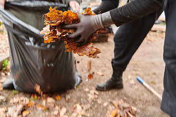 Image showing Father-daughter duo bonding in the garden as they work together to collect fallen leaves and fill up a bag on a crisp autumn day.