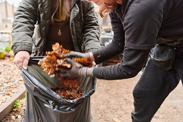 Image showing Father-daughter duo bonding in the garden as they work together to collect fallen leaves and fill up a bag on a crisp autumn day.