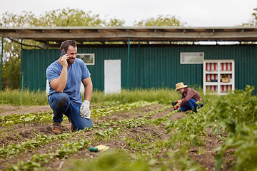 Image showing Phone call, farmer or happy sustainability agriculture couple with 5g tech planning export sale deal. Man with smile or growth mindset networking with customer on nature countryside environment field