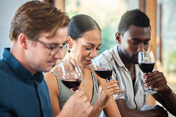 Image showing Diversity, luxury and friends wine tasting at a restaurant or vineyard, smelling alcohol in a glass together. Young carefree people bonding and having fun, enjoying a wine tour at a distillery