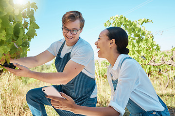 Image showing Phone app, laughing wine farmer and happy sustainability agriculture couple with 5g harvest growth data. Interracial man, woman or nature vineyard workers with smile on countryside environment field