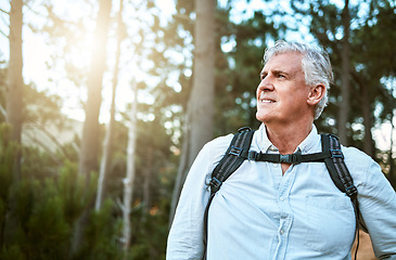 Image showing . Senior man walking on hike in nature, looking at view on mountain and hiking on a relaxing getaway vacation alone in the countryside. Retired, mature and happy guy on walk for exercise and fitness.