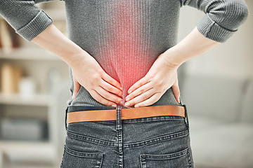 Image showing Back, pain and backache of a woman touching and holding a painful area on her body highlighted in red. Closeup of a female feeling strain, ache and discomfort from a glowing muscle injury problem