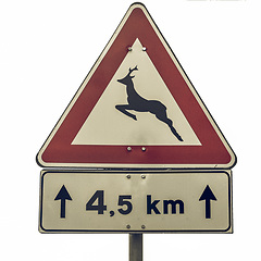 Image showing Vintage looking Wildlife danger sign