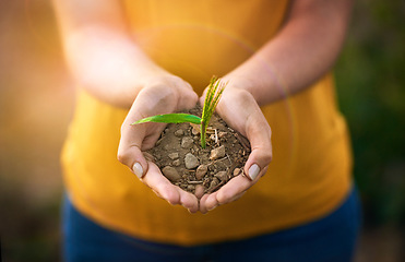 Image showing Closeup of hands holding a plant and sand outside in nature in spring. Caring for the environment and growing sustainable, organic and ecological plantations by investing in agricultural growth