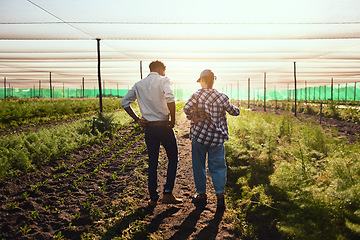 Image showing Young farmers working inside of a greenhouse in serious discussion about eco friendly organic agriculture they are planning on farming. Rear view of a man and woman talking about sustainable land