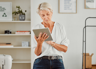 Image showing Senior businesswoman, manager or designer reply, responding or sending notification of online orders from handheld tablet. Old clothing producer or business owner serious searching the web in studio.