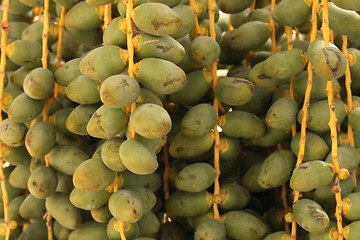 Image showing date fruits