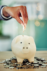 Image showing Finance growth, saving money and coins in a piggy bank for the best investment strategy a banking service, contact us. Silver cash put into a safe place to keep their financial wealth budget growing