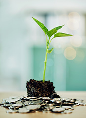 Image showing Investment and development in environment benefit eco friendly market and businesses. Coins and green plant show money growth, financial sustainability and future savings in finance sector or economy