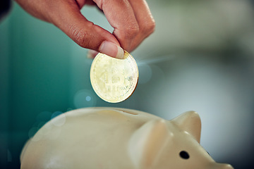 Image showing . Bitcoin investors hand investing gold coins, cash or profit for a future startup business budget. Finance, financial investment and money savings into a piggy bank for wealth and retirement fund.