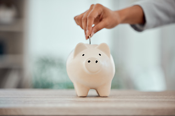 Image showing Budget, money and piggy bank investment for your future plans or goals. Closeup of cropped hands putting coins into savings for financial security or growth in a poor and struggling economy.