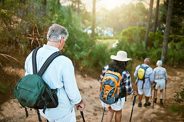 Image showing . Hiking, adventure and exploring with a group of senior friends walking on a trail in the forest or woods. Rearview of retired people taking a hike or journey on a discovery vacation outdoors.