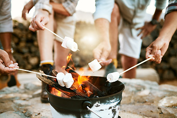 Image showing Melting marshmallows by a fire on a nature getaway vacation, group bonding and relaxing together outside with candy in the mountain. People on a wellness holiday enjoying freedom and delicious food