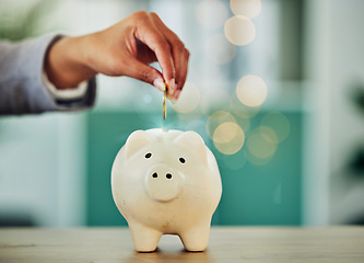 Image showing . Saving and investment for future, hand putting a coin into a piggy bank, money growth and financial freedom. Retirement, insurance and budget security of woman banking money away.