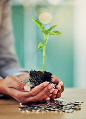 Image showing . Hands of a woman and her savings, money growing and planning for the future closeup. Lady investing coins for finances, conservation and protection of her investment in a green economy.