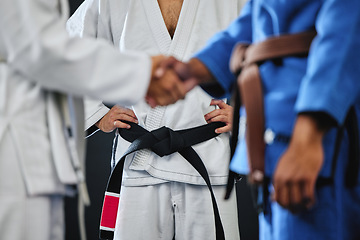 Image showing Handshake, karate and martial arts teamwork in competition, challenge and combat fight in wellness studio. Black belt trainer and sports fitness coach in gym workout, exercise and training for health