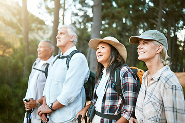 Image showing Hiking, adventure and exploring with a group of senior friends looking at the view on a nature hike in a forest or woods outdoors. Retired people on a journey of discovery and enjoying a walk outside