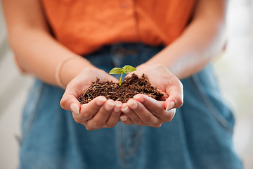 Image showing Hands, closeup and holding growing seeds from healthy pot of soil. Agriculture, sustainable and green business for eco friendly living. Hope for environmental innovation and safe ecosystem.