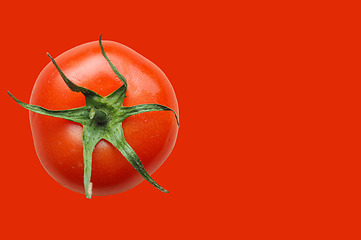 Image showing Red tomato vegetable over red