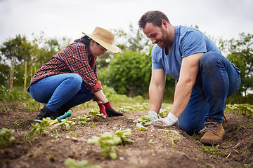 Image showing Farmers planting plants or organic vegetable crops on a sustainable farm and enjoying agriculture. Farmer couple working together outdoors on farmland to grow produce for sustainability