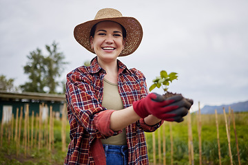 Image showing Farm, growth and sustainability with a woman farmer holding a plant, soil or green leaf in the farming and agriculture industry. Gardening, ecology and eco friendly care with a female in a field