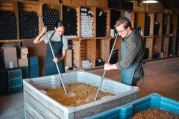 Image showing Crushing grapes for wine manufacturing in a cellar, winery and distillery. Industry employees, vintners and workers with press tool in a tank to mix large crate for fermentation process in production