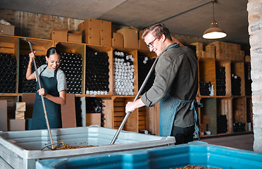 Image showing Winemaker workers in the process of making wine with a wine press tool or equipment in a warehouse, winery or distillery. Woman, man or vintner people pressing juice of grapes for alcohol industry