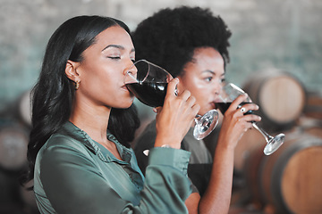 Image showing Women, wine tasting and drinking alcohol from glass in farm room, winery estate and local countryside distillery. Black friends, connoisseurs and sommeliers bonding and enjoying vineyard red merlot