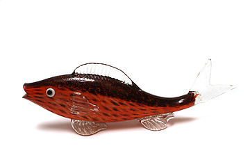 Image showing glass fish