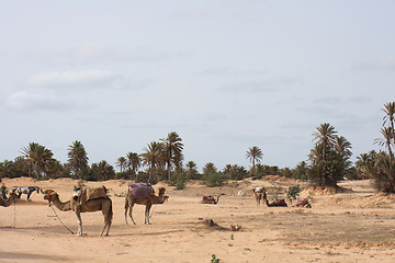 Image showing sahara