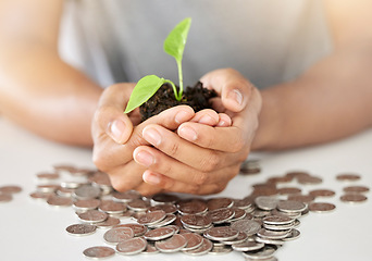 Image showing .Money, plant and growth in the hands of a woman to show development, care and sustainability of a green business. Accountability, management and leadership of an eco friendly accounting startup.
