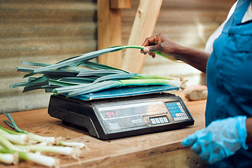 Image showing Electronic, digital and retail scale weighing vegetables for customer at food and fruit supermarket. Female grocery store worker checking the cost of health produce with computing price machine.