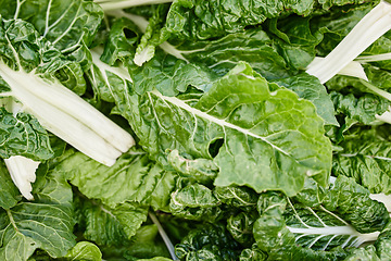 Image showing Agriculture growth and organic spinach plants with leaf in a green eco sustainable nutrition. Fresh farming product heap for salad, health and diet or vegetable garden in a harvest from above