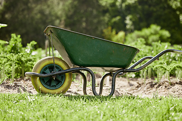 Image showing Farm or garden wheelbarrow on nature, agriculture environment or green countryside field used for farming work. Gardening equipment for lawn with sustainable grass, flower and plant growth