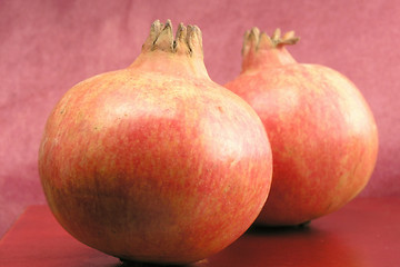 Image showing Pomegranate