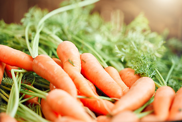 Image showing Background of carrot, healthy food and vegetables from nature, agriculture and sustainability garden at farmer market. Nutrition, fresh diet and growth of ripe and organic natural harvest for cooking