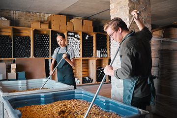 Image showing Wine, vineyard and workers mixing fruit in a winery, warehouse or distillery with equipment at work. Woman and man winemaker or people pressing juice of grapes for alcohol industry.