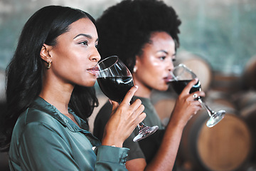 Image showing Luxury, hospitality and friends at wine tasting event, drink and enjoying new experience together in a vineyard cellar. Diverse women bonding while trying and testing the quality of a popular blend