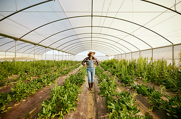 Image showing Farmer, greenhouse and happy agriculture woman in eco friendly business for environmental health. Carbon capture career and food sustainability industry for green lifestyle, growth and innovation.