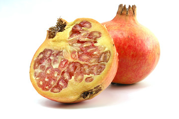 Image showing Pomegranate