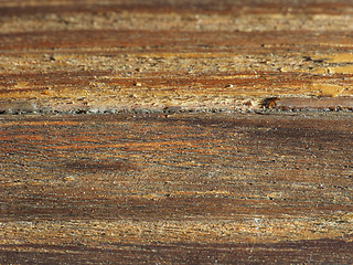 Image showing Old wood texture background