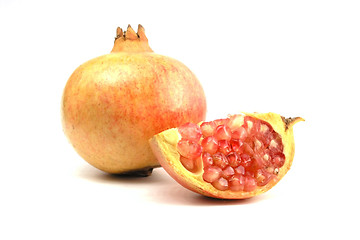 Image showing Pomegranate