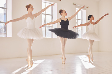 Image showing Diversity women in ballet dance collaboration, art school team performance and dancing in class studio. Young professional dancer or group of creative students dancing together by window and sunshine