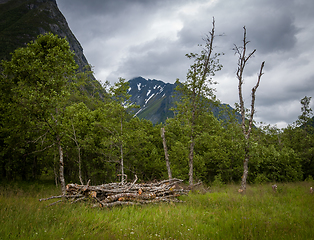 Image showing Wood Pile in Grassy Area With Trees and Mountains Background