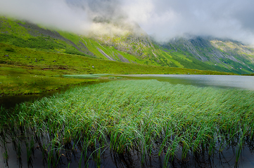 Image showing Pristine Mountain Lake Surrounded by Lush Greenery on a Misty Da