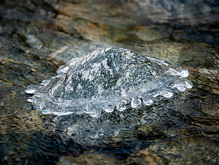 Image showing Frozen Rock Encased in Ice Amidst a Partially Thawed Stream in W