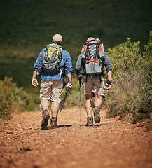 Image showing Friends trekking nature while hiking in a forest together, being active and bonding outdoors. Active male travel on a path in the woods, enjoying a physical challenge while on trekking adventure